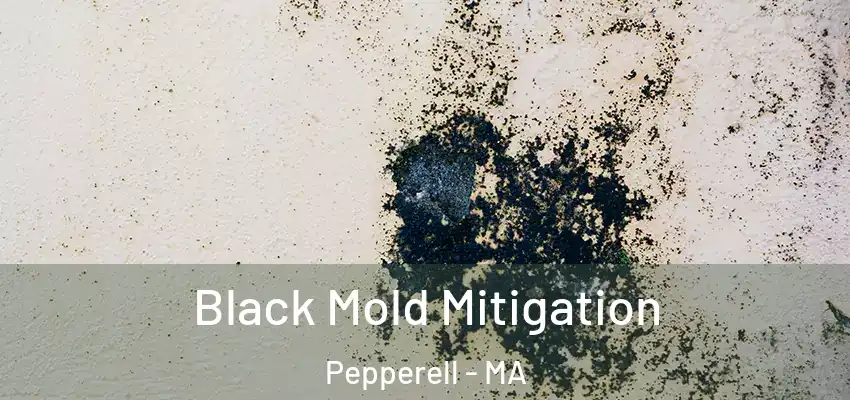 Black Mold Mitigation Pepperell - MA