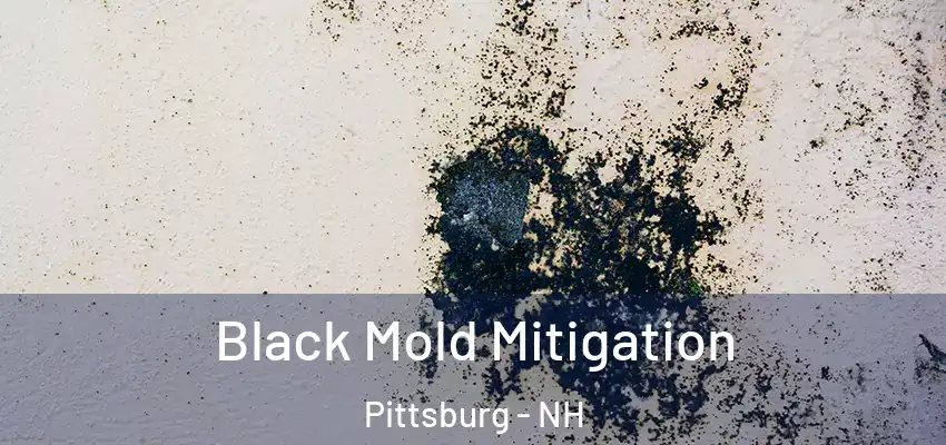  Black Mold Mitigation Pittsburg - NH