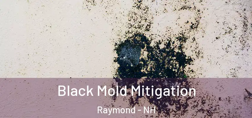 Black Mold Mitigation Raymond - NH