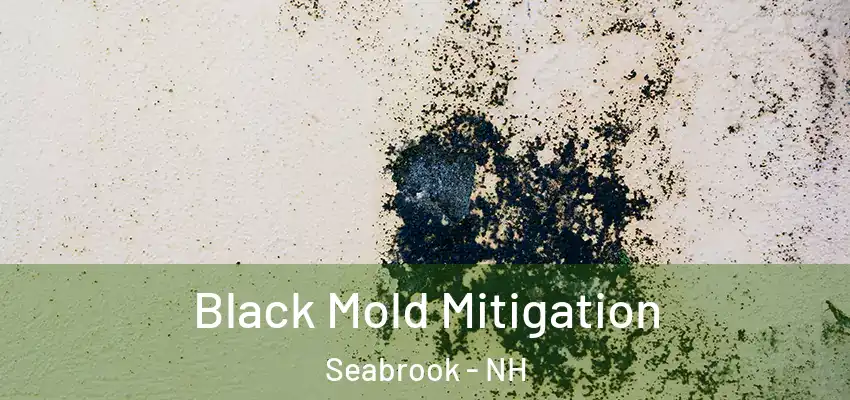 Black Mold Mitigation Seabrook - NH