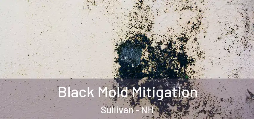 Black Mold Mitigation Sullivan - NH