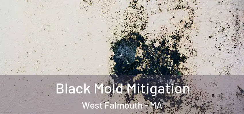 Black Mold Mitigation West Falmouth - MA