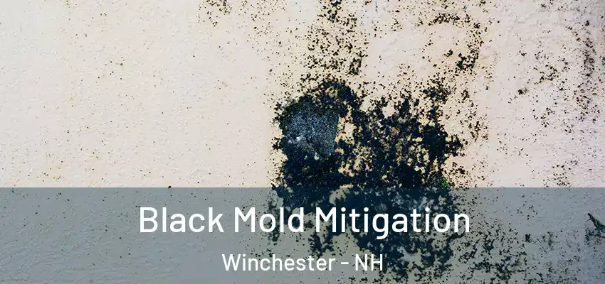 Black Mold Mitigation Winchester - NH