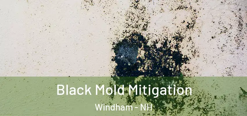 Black Mold Mitigation Windham - NH