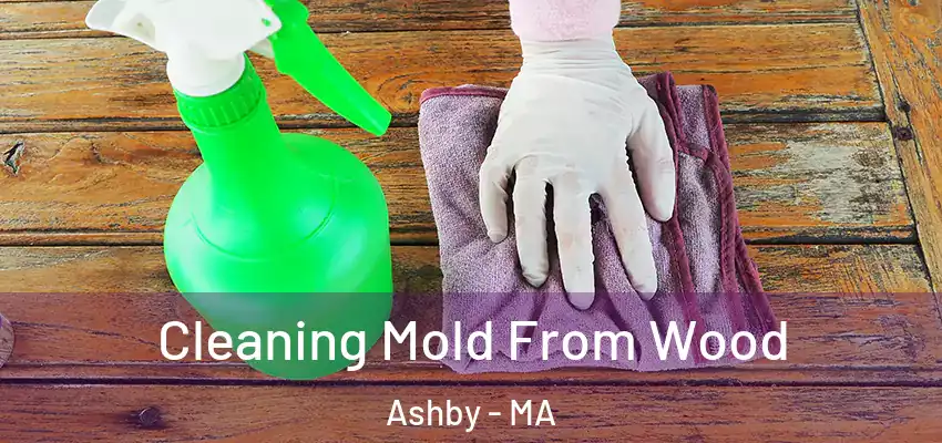  Cleaning Mold From Wood Ashby - MA