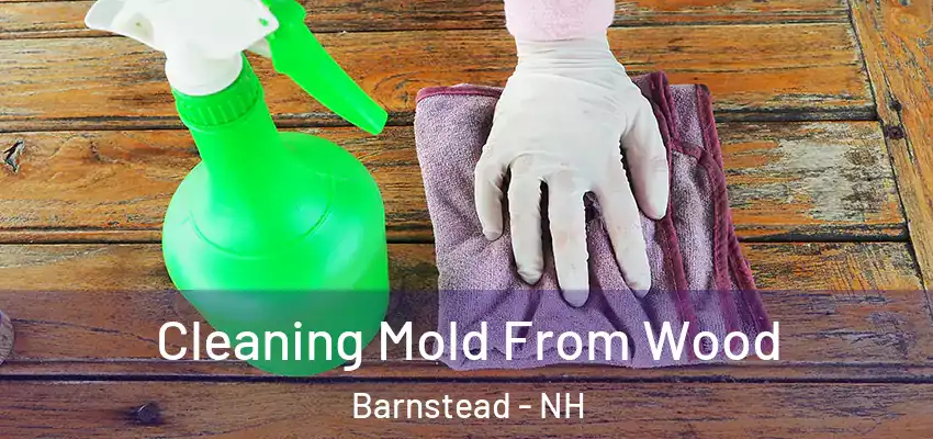 Cleaning Mold From Wood Barnstead - NH