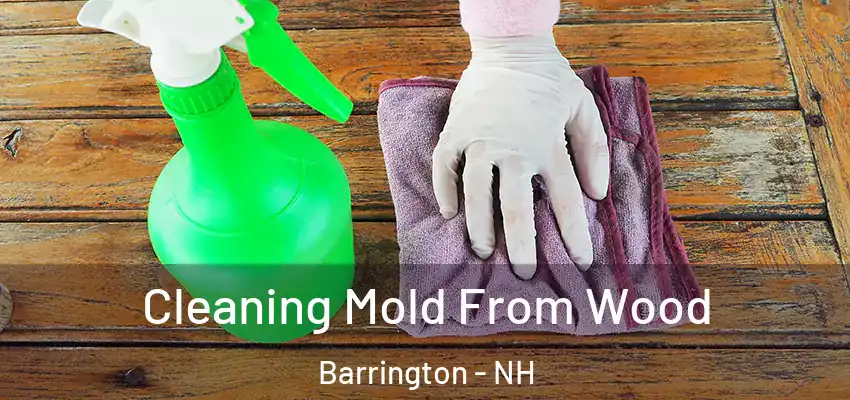 Cleaning Mold From Wood Barrington - NH