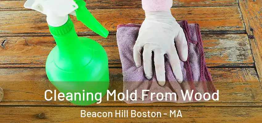  Cleaning Mold From Wood Beacon Hill Boston - MA
