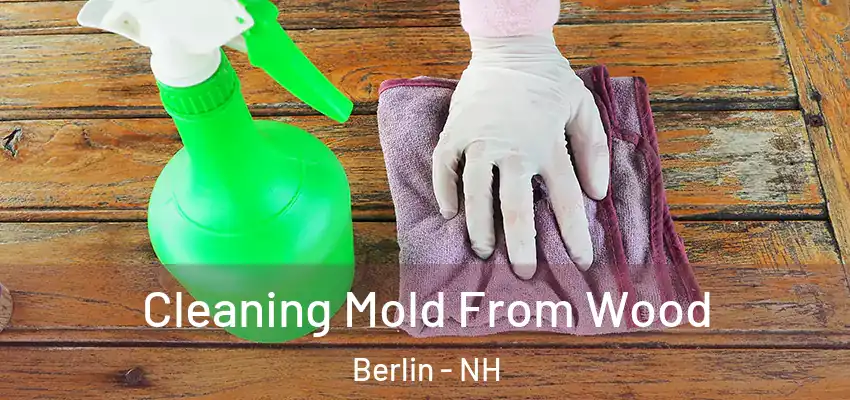  Cleaning Mold From Wood Berlin - NH