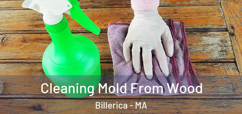  Cleaning Mold From Wood Billerica - MA