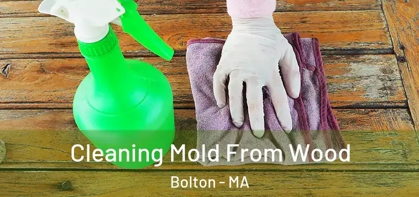 Cleaning Mold From Wood Bolton - MA