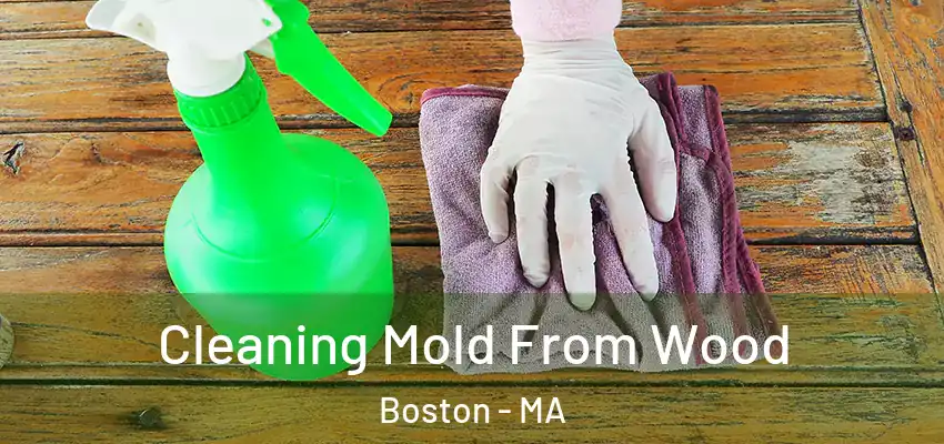Cleaning Mold From Wood Boston - MA