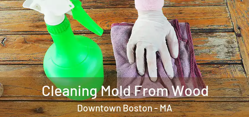Cleaning Mold From Wood Downtown Boston - MA