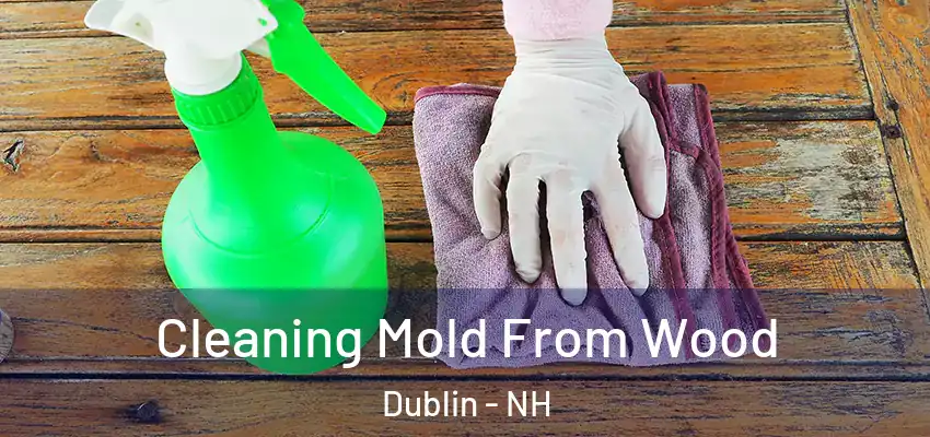  Cleaning Mold From Wood Dublin - NH