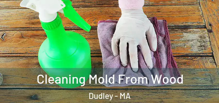  Cleaning Mold From Wood Dudley - MA