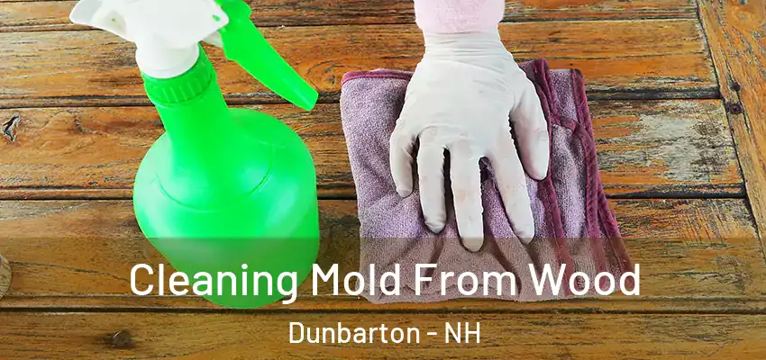  Cleaning Mold From Wood Dunbarton - NH