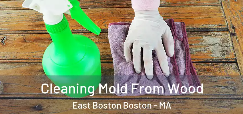 Cleaning Mold From Wood East Boston Boston - MA