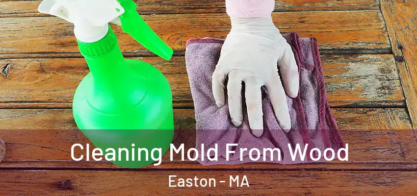  Cleaning Mold From Wood Easton - MA