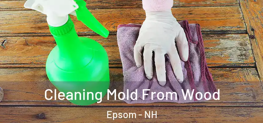  Cleaning Mold From Wood Epsom - NH