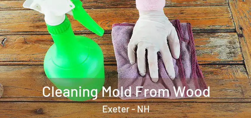  Cleaning Mold From Wood Exeter - NH