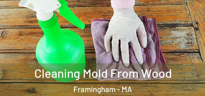  Cleaning Mold From Wood Framingham - MA