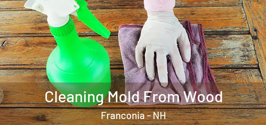 Cleaning Mold From Wood Franconia - NH