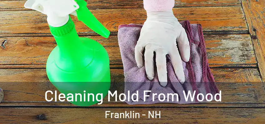 Cleaning Mold From Wood Franklin - NH