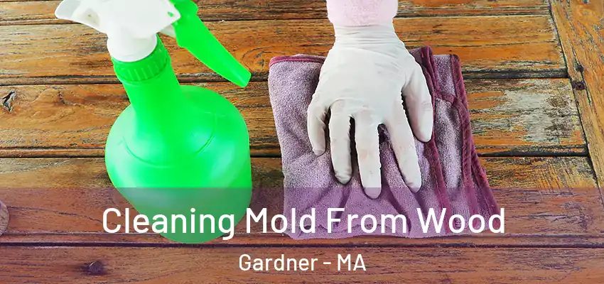 Cleaning Mold From Wood Gardner - MA