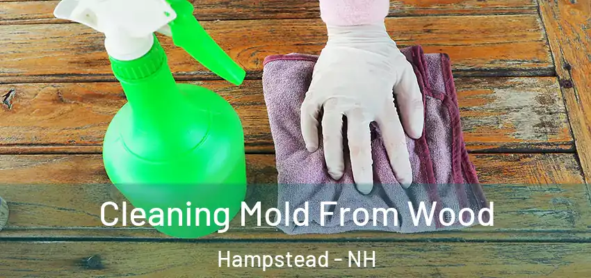  Cleaning Mold From Wood Hampstead - NH