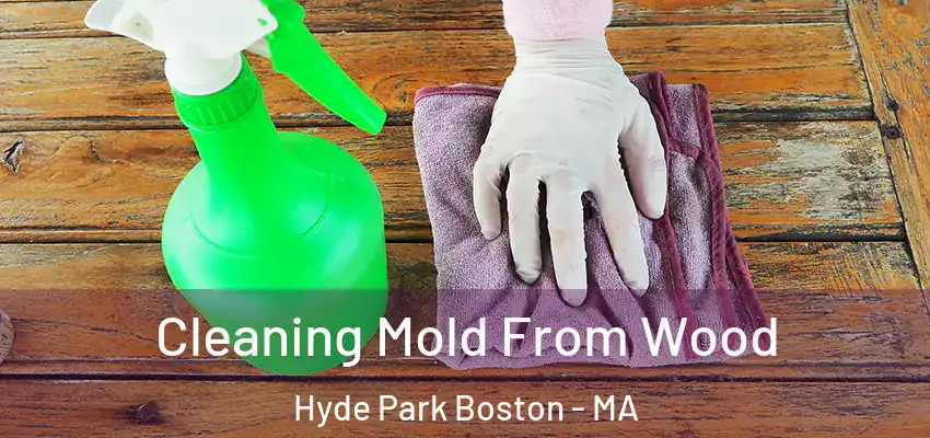  Cleaning Mold From Wood Hyde Park Boston - MA