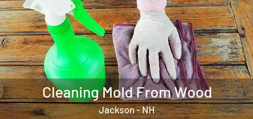  Cleaning Mold From Wood Jackson - NH