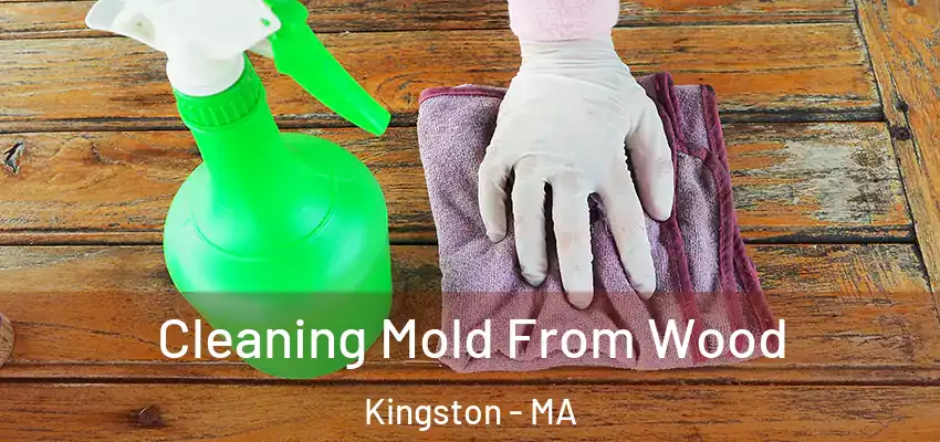 Cleaning Mold From Wood Kingston - MA