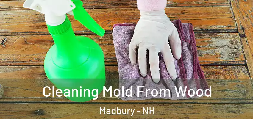  Cleaning Mold From Wood Madbury - NH