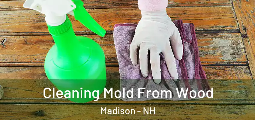  Cleaning Mold From Wood Madison - NH