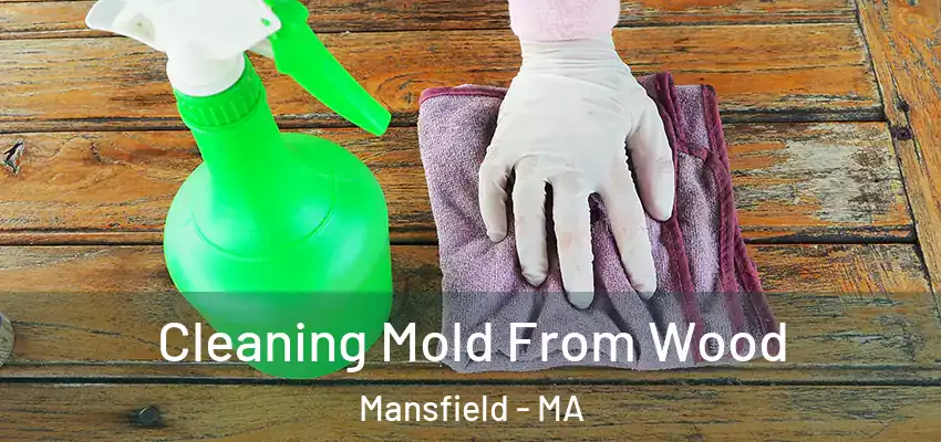  Cleaning Mold From Wood Mansfield - MA