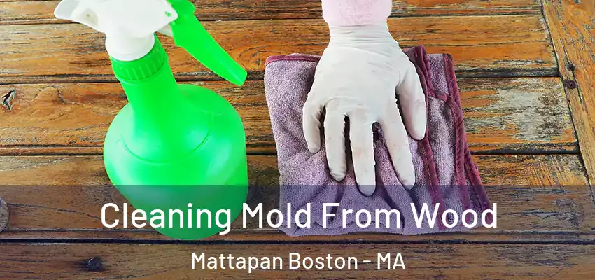 Cleaning Mold From Wood Mattapan Boston - MA