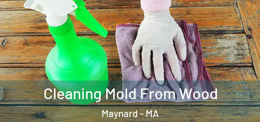 Cleaning Mold From Wood Maynard - MA
