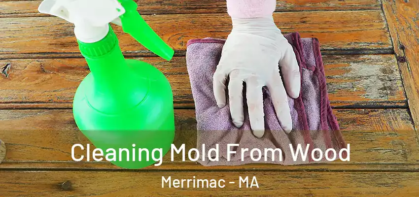  Cleaning Mold From Wood Merrimac - MA