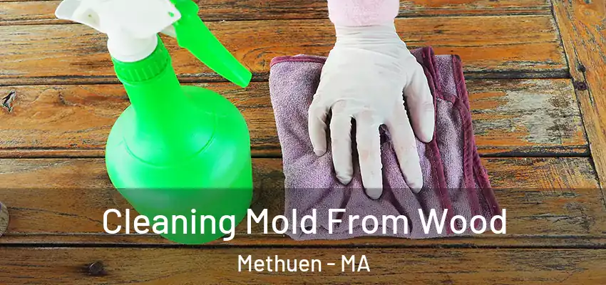  Cleaning Mold From Wood Methuen - MA