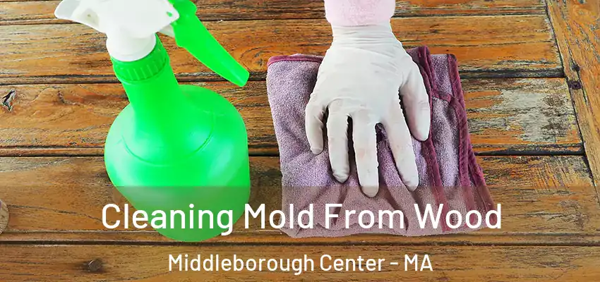 Cleaning Mold From Wood Middleborough Center - MA