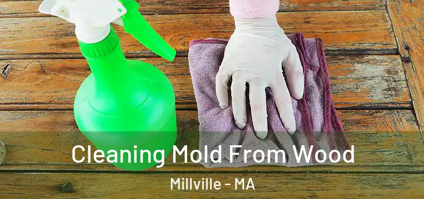 Cleaning Mold From Wood Millville - MA