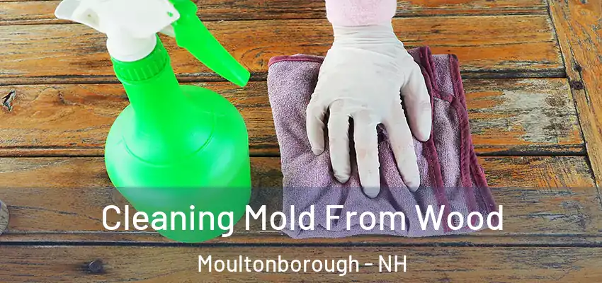 Cleaning Mold From Wood Moultonborough - NH