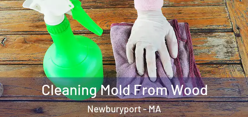 Cleaning Mold From Wood Newburyport - MA