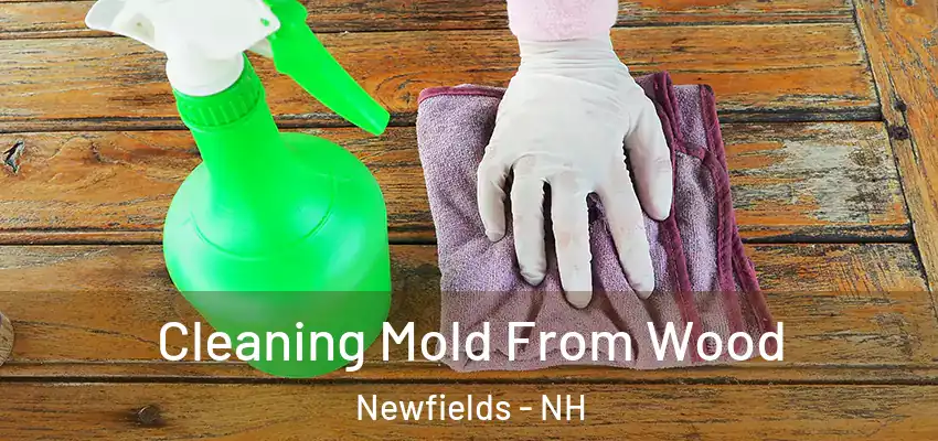  Cleaning Mold From Wood Newfields - NH