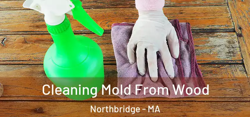 Cleaning Mold From Wood Northbridge - MA