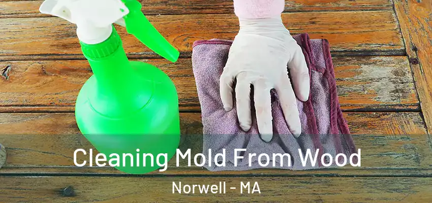  Cleaning Mold From Wood Norwell - MA