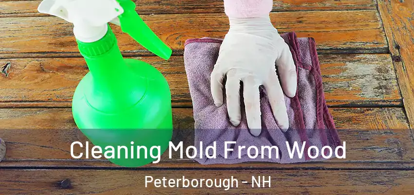 Cleaning Mold From Wood Peterborough - NH