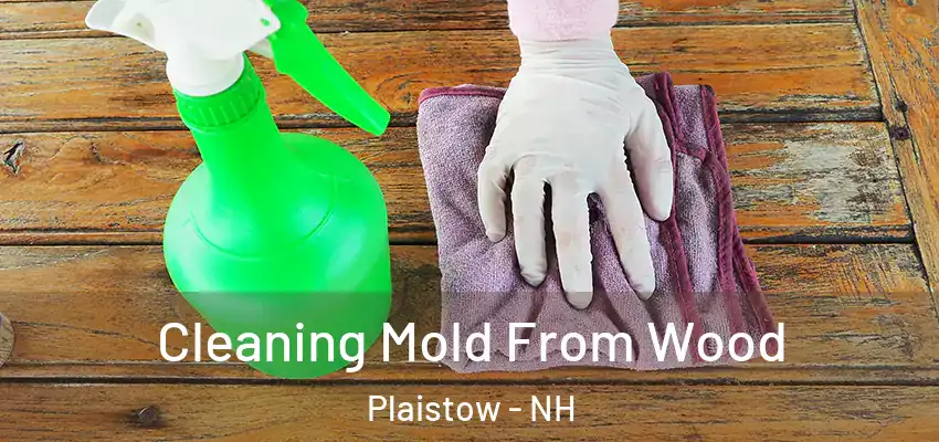  Cleaning Mold From Wood Plaistow - NH
