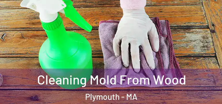 Cleaning Mold From Wood Plymouth - MA