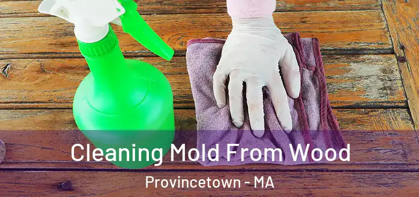 Cleaning Mold From Wood Provincetown - MA